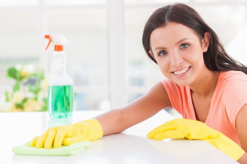 Gutter cleaning service for South Kensington period properties