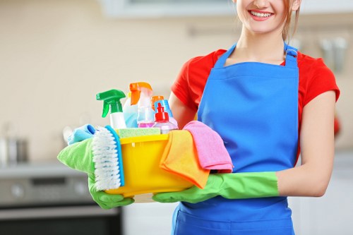 Professional mattress cleaning equipment used in South Kensington