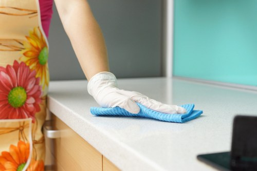 Professional window cleaning for South Kensington period homes and apartments
