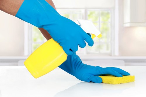 Local South Kensington cleaner working in a period apartment building