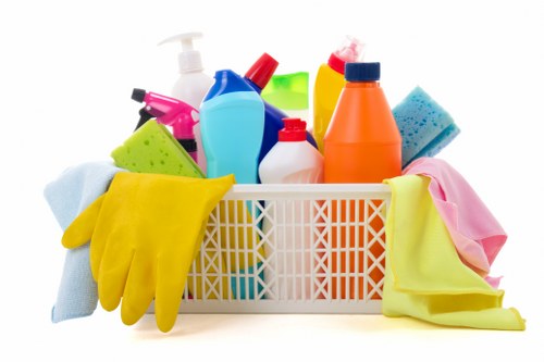 Domestic cleaning service for South Kensington apartments and period homes