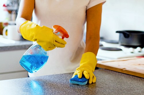 Detailed cleaning service in a South Kensington apartment
