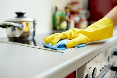 PPE used by cleaning professionals