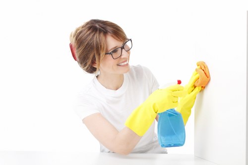 Regular domestic cleaning service for a South Kensington flat