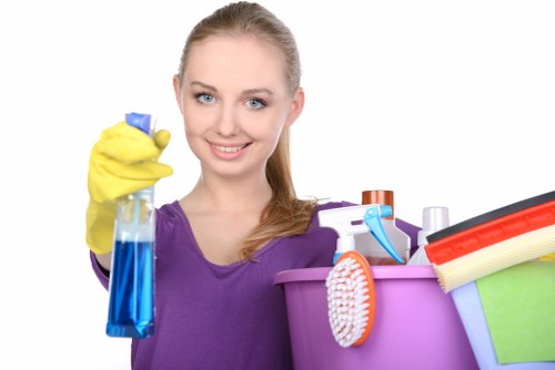 Local domestic cleaning service covering South Kensington and nearby areas